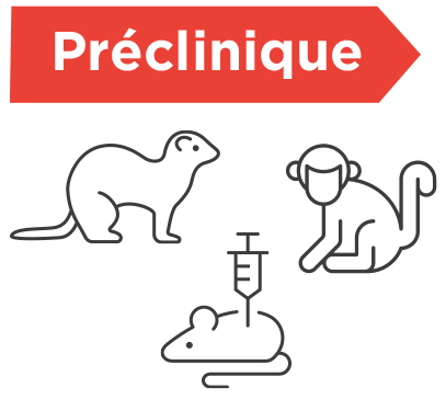 Préclinique